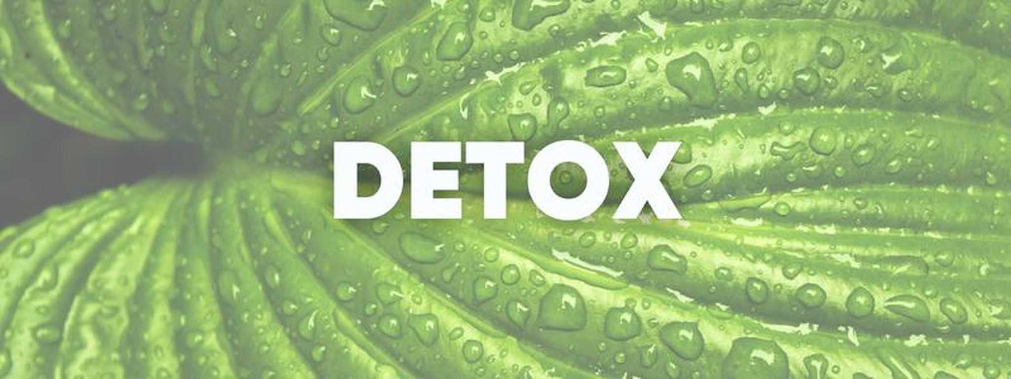 Desintoxica tu cuerpo y gana salud y vitalidad