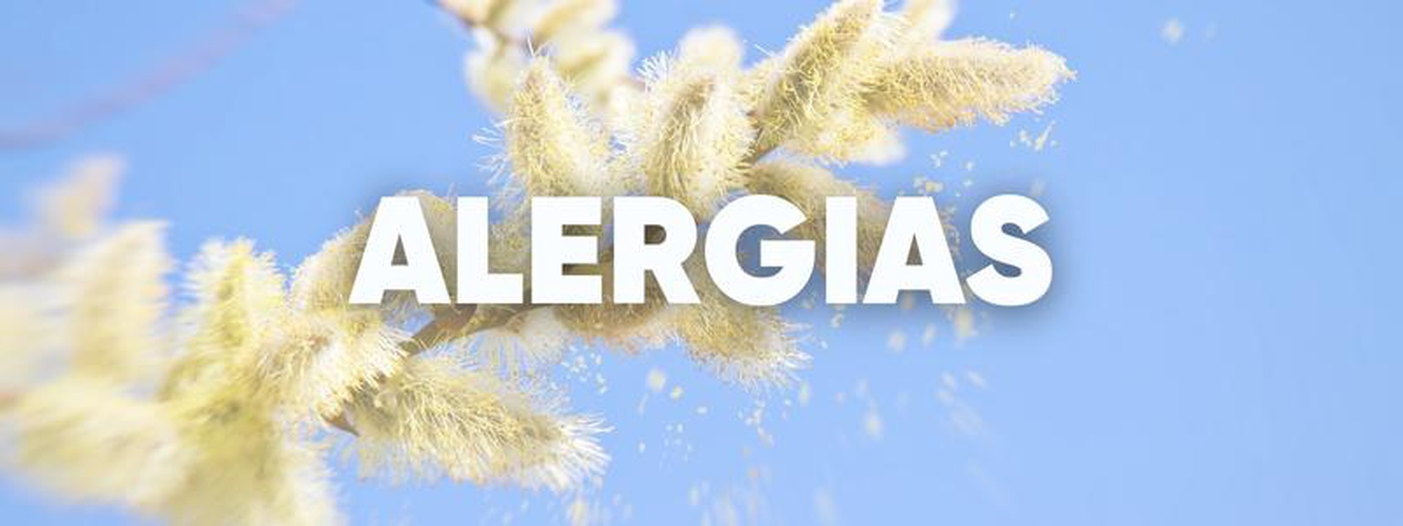 Fortalece tu sistema inmune para evitar los síntomas de la alergia