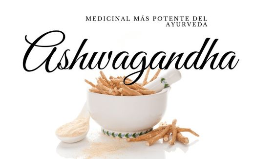 La ashwagandha puede ayudar en caso de hipotiroidismo
