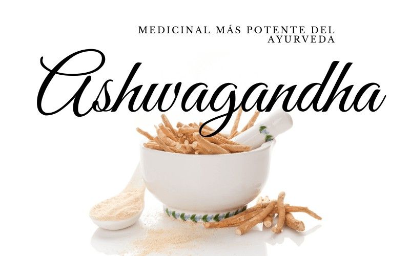 La ashwagandha puede ayudar en caso de hipotiroidismo