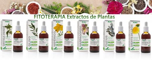 Novedades Extractos de Plantas de Soria Natural
