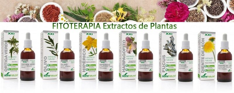 Novedades Extractos de Plantas de Soria Natural