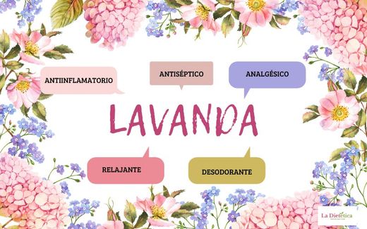 Aromaterapia Aceite esencial de Lavanda