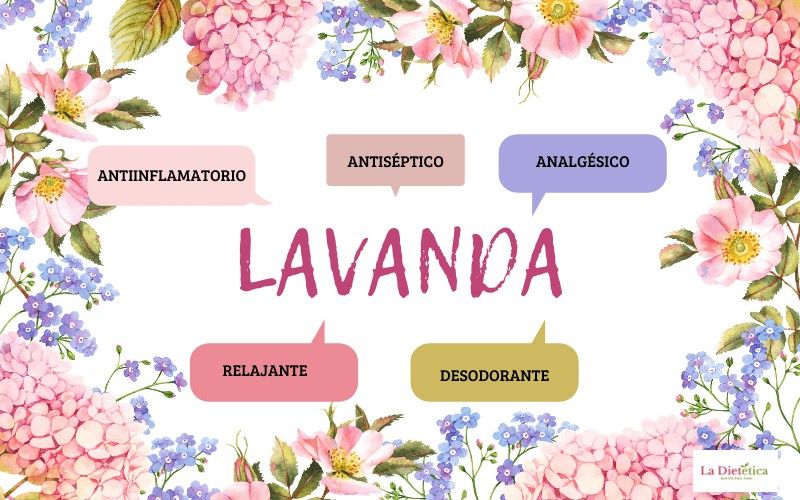 Aromaterapia Aceite esencial de Lavanda
