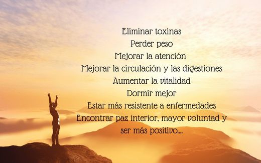 Depuración saludable del Organismo con la cura del sirope de arce y zumo de limón