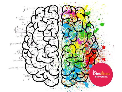 Se puede estimular la regeneración cerebral?