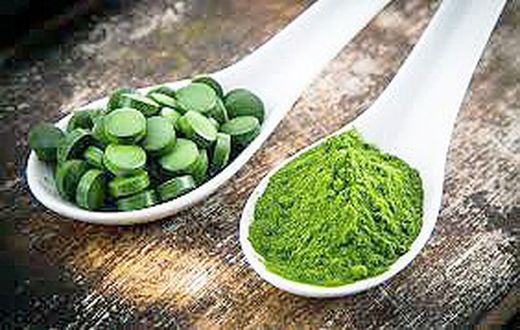 Bajamanos el precio de la Spirulina, para muchos conocida como espirulina.