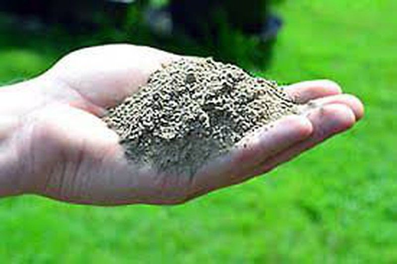 El polvo mineral de roca Superbiomin se origina en un yacimiento que se descubrió en 1981 en Austria. Es un producto 100% natural y esta considerado el único en el mundo que tiene una composición muy rica en minerales y oligoelementos con innumerables beneficios.