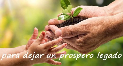 Concienciados con el medio ambiente optamos por materiales reclidados