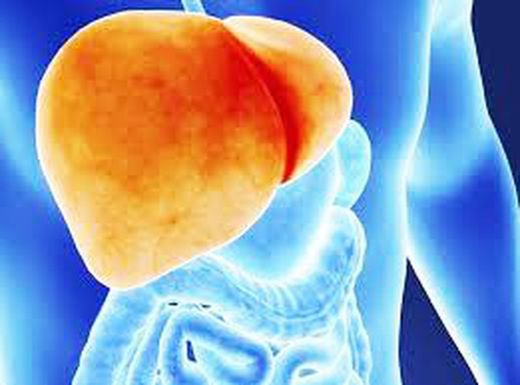 Hígado graso, inflamado, colesterol... limpia tu organismo depurando tu hígado el gran filtro del cuerpo humano.