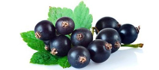 El Grosellero negro es cortisona natural pero sin efectos secundarios.
