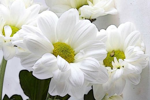 Prueba las mascarillas de cosmética natural con ecocert de Armonía