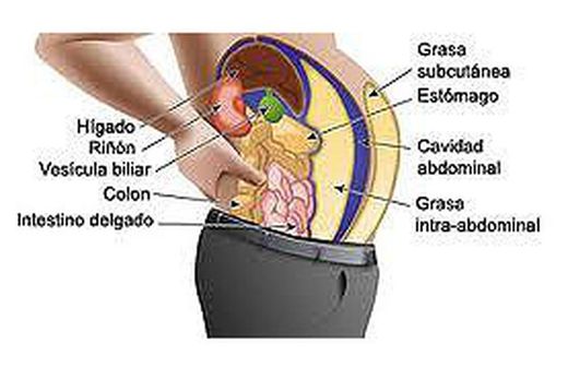 Reduce la grasa abdominal con Especific Zona M 48 cápsulas de Dietisa