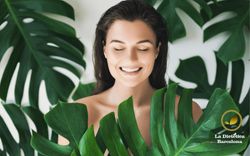 Ya dispones en nuestro catálogo de la cosmética más natural...Maurice Mességué