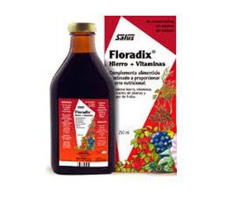 Floradix Hierro Orgánico 500 ml. Salus