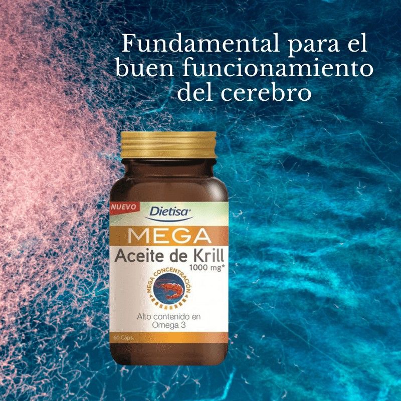 El Omega 3 mejora la memoria y la concentración y ayuda a controlar el colesterol