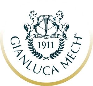 Gianluca Mech