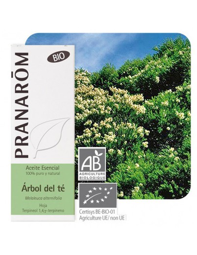 Aceite esencial quimiotipado árbol del té Pranarom