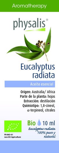 Aromaterapia Aceite Esencial Eucalyptus Radiata Bio 10 ml de Physalis