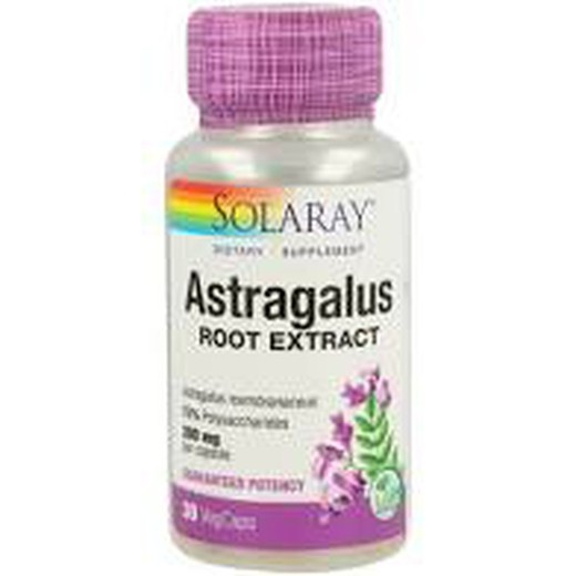 Astragalus root extract 200 mg 30 cápsulas vegetales