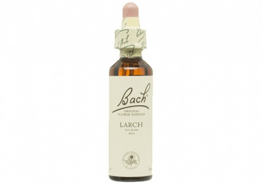 Bach 19 Larch 20 ml Alerce