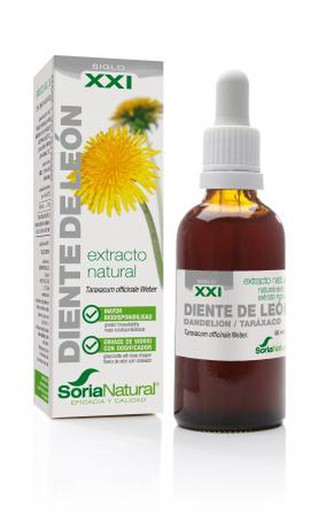 Diente de León Extracto S.XXI de Soria Natural