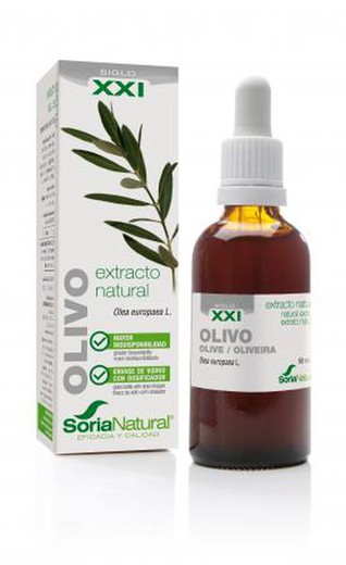 Olivo Extracto S.XXI de Soria Natural