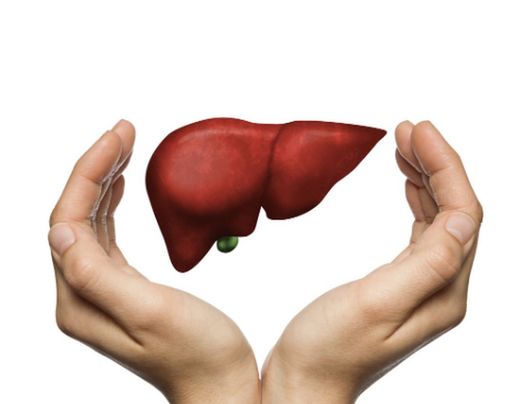 Bienestar Hepático - Hígado