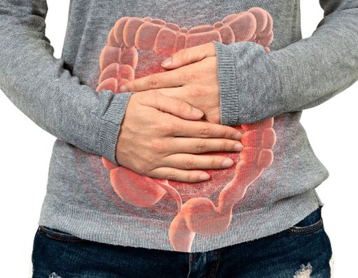 Parásitos intestinales