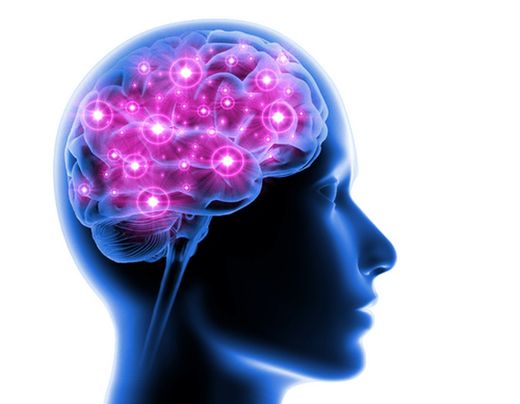 Rendimiento Intelectual