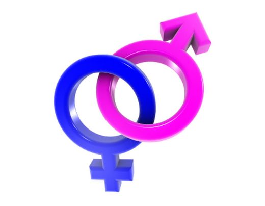 Sistema Genitourinario