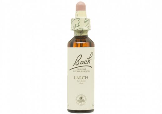 Bach 19 Larch 20 ml Alerce