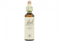 Bach 19 Larch 20 ml Alerce