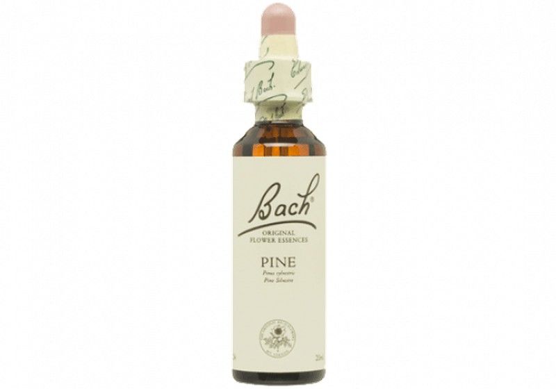 Bach 24 Pine 20 ml Flores de Bach de Pino