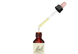 Bach 25 Red Chestnut 20 ml Flores Castaño Rojo