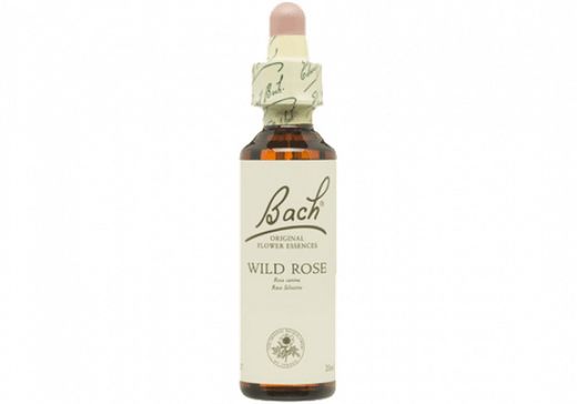 Bach 37 Wild Rose 20 ml Rosa Silvestre