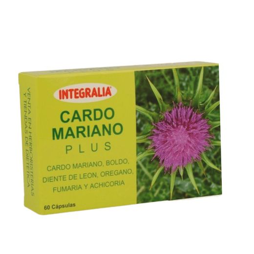 Cardo Mariano Plus 60 cápsulas