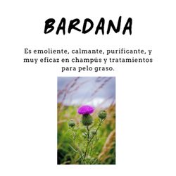 Champú de Bardana 300 ml D’Shila