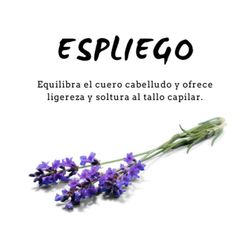 Champú de Espliego 300 ml D'Shila