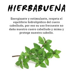 Champú de Hierbabuena 300 ml D'Shila