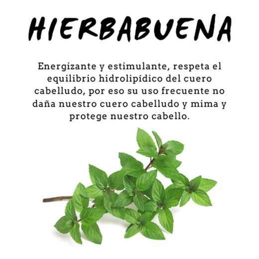 Champú de Hierbabuena 300 ml D'Shila