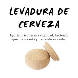 Champú de Levadura de Cerveza 300ml D'Shila
