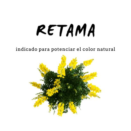 Champú de Retama con Vid Roja 300 ml D'Shila