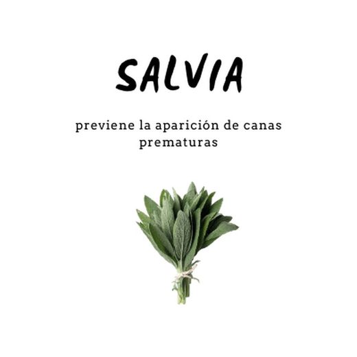 Champú de Salvia 300 ml D'Shila