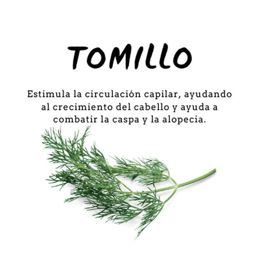 Champú de Tomillo 300 ml de D'Shila