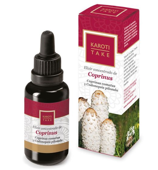 Karoti-Take Coprinus 30 ml de Hiranyagarba