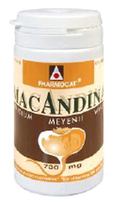 Macandina 60 cápsulas