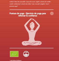 Yogi Tea Buenos Sueños Rooibos Vainilla