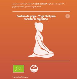 Yogi Tea Digestión