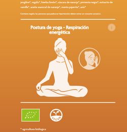 Pack 6 unidades Yogi Tea